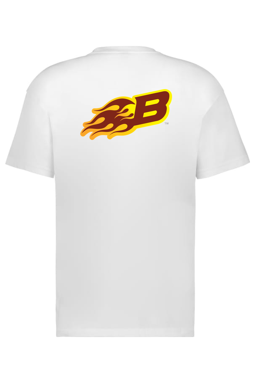 Arizona Burn - Holloway Sidney Heavyweight Oversize Tee (Front & Back Print)