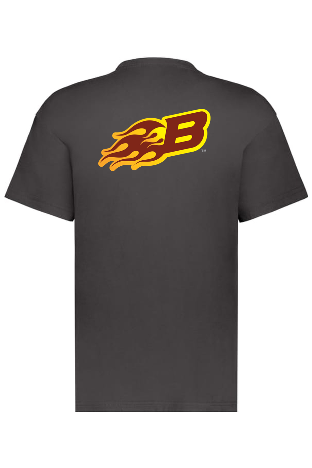 Arizona Burn - Holloway Sidney Heavyweight Oversize Tee (Front & Back Print)