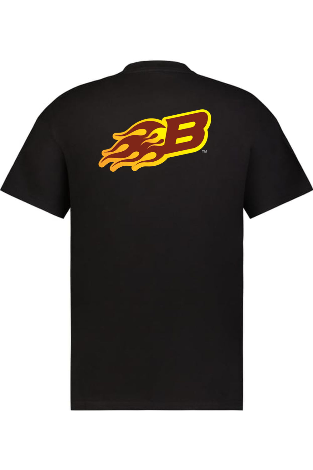 Arizona Burn - Holloway Sidney Heavyweight Oversize Tee (Front & Back Print)