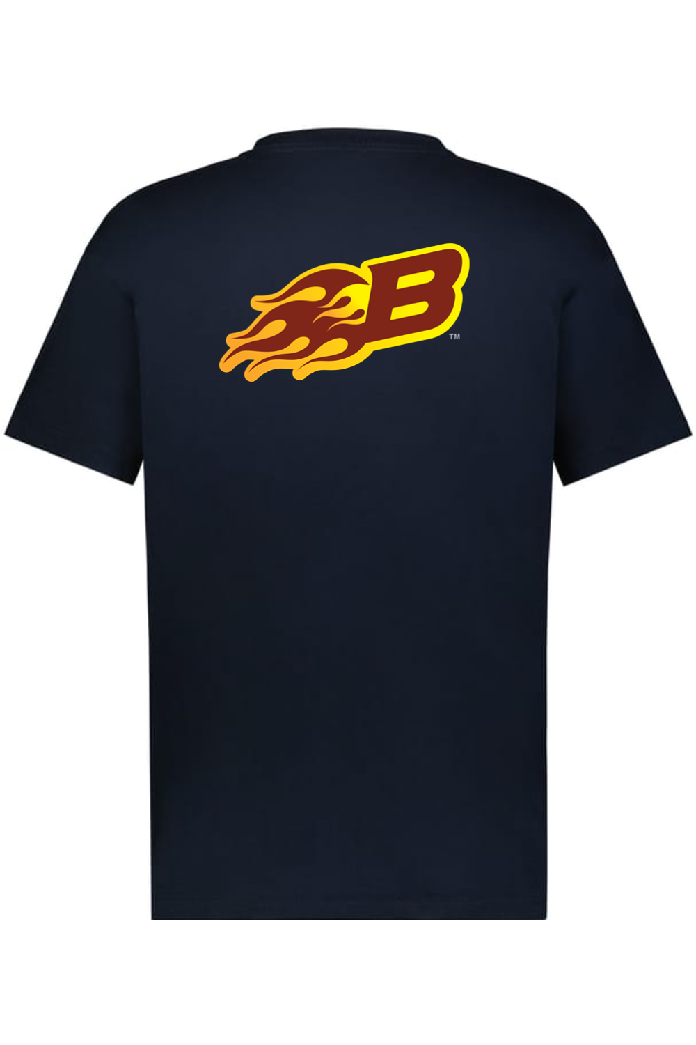 Arizona Burn - Holloway Sidney Heavyweight Oversize Tee (Front & Back Print)